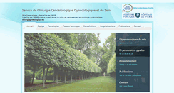 Desktop Screenshot of cancerologiegynecologique.com